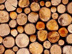 Screenshot of twinio new